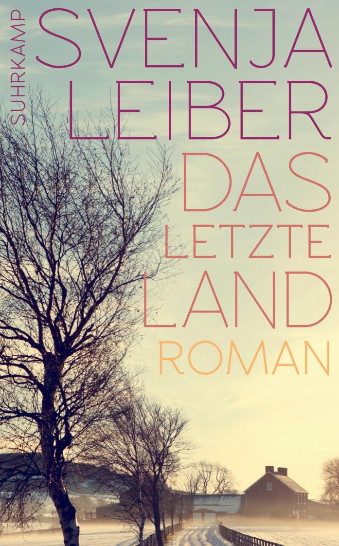 Product Image: Das letzte Land