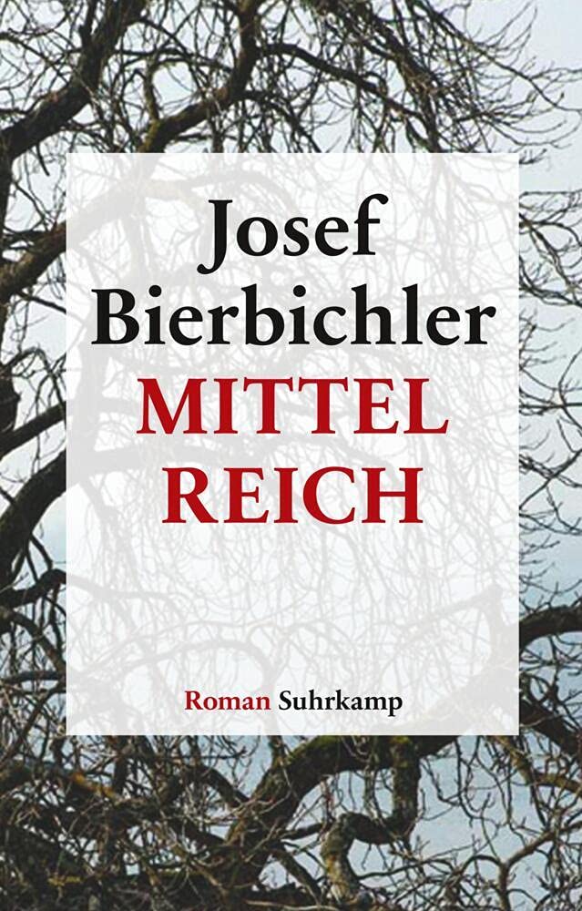 Mittelreich Contemporary literature Books