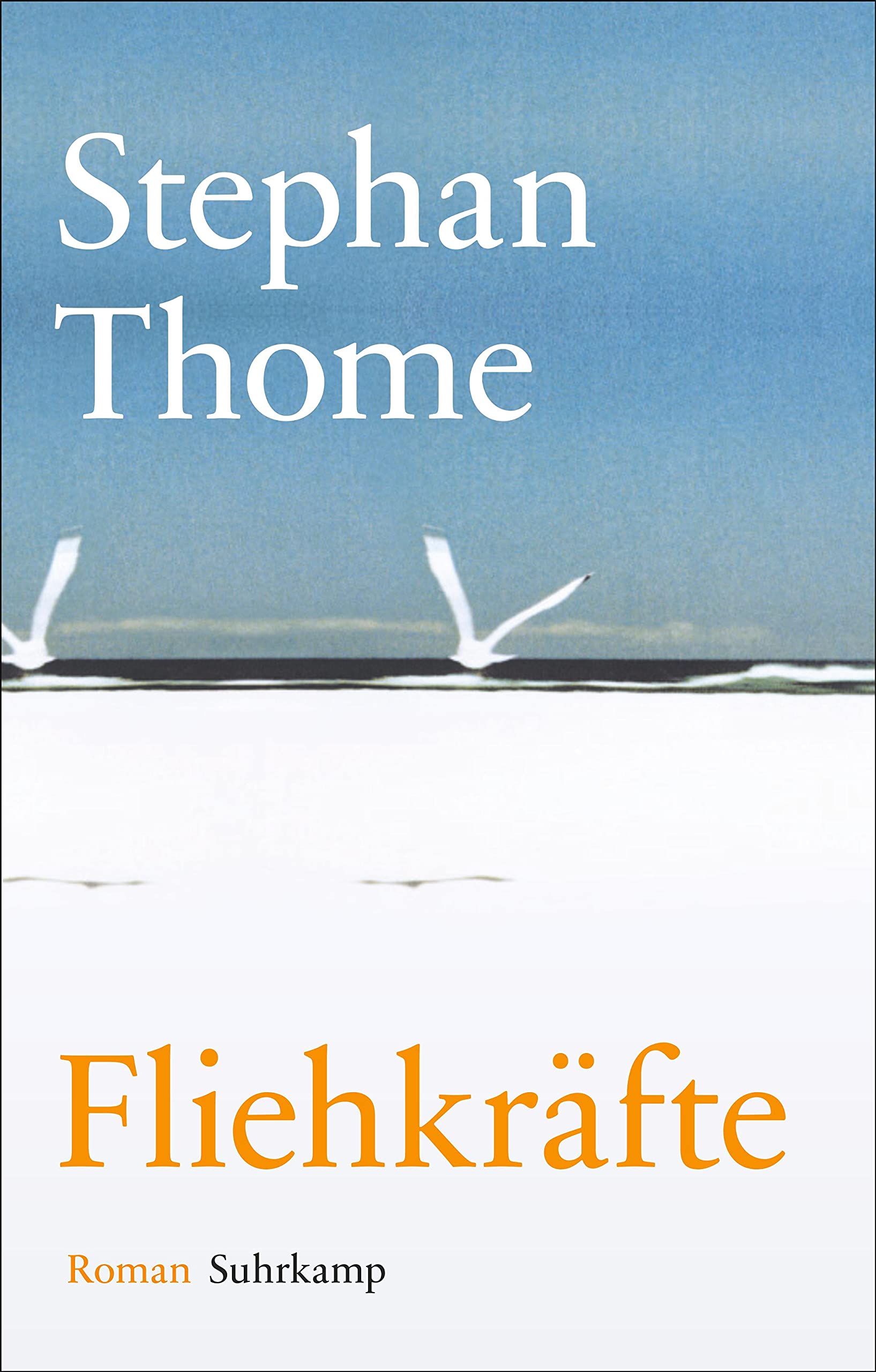 Fliehkräfte Contemporary literature Books