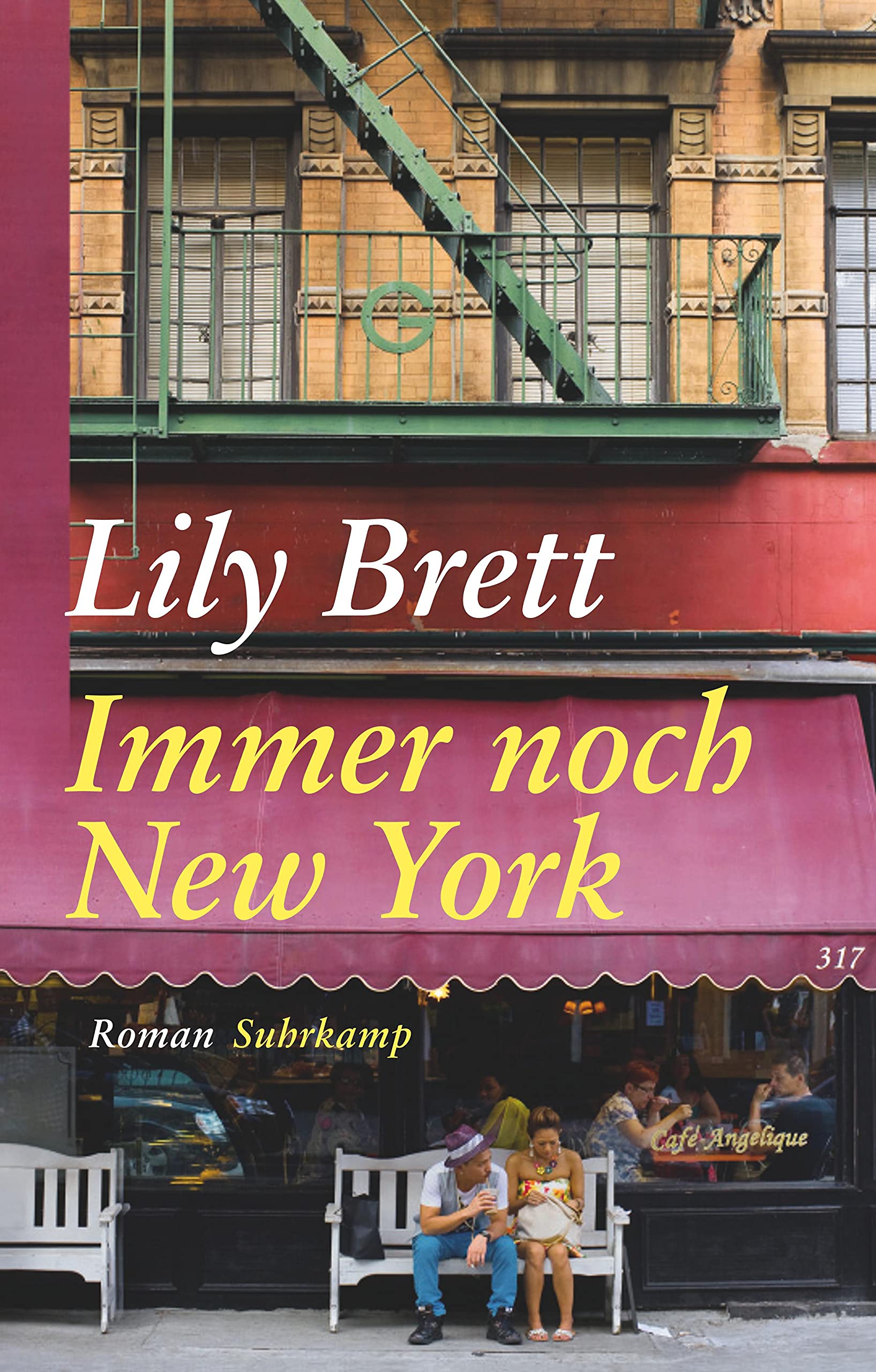 Immer noch New York Contemporary literature Books