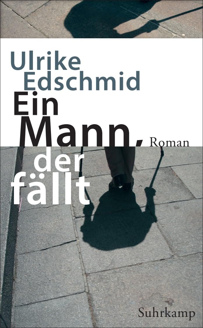 Ein Mann, der fällt: Roman (suhrkamp taschenbuch) Contemporary literature