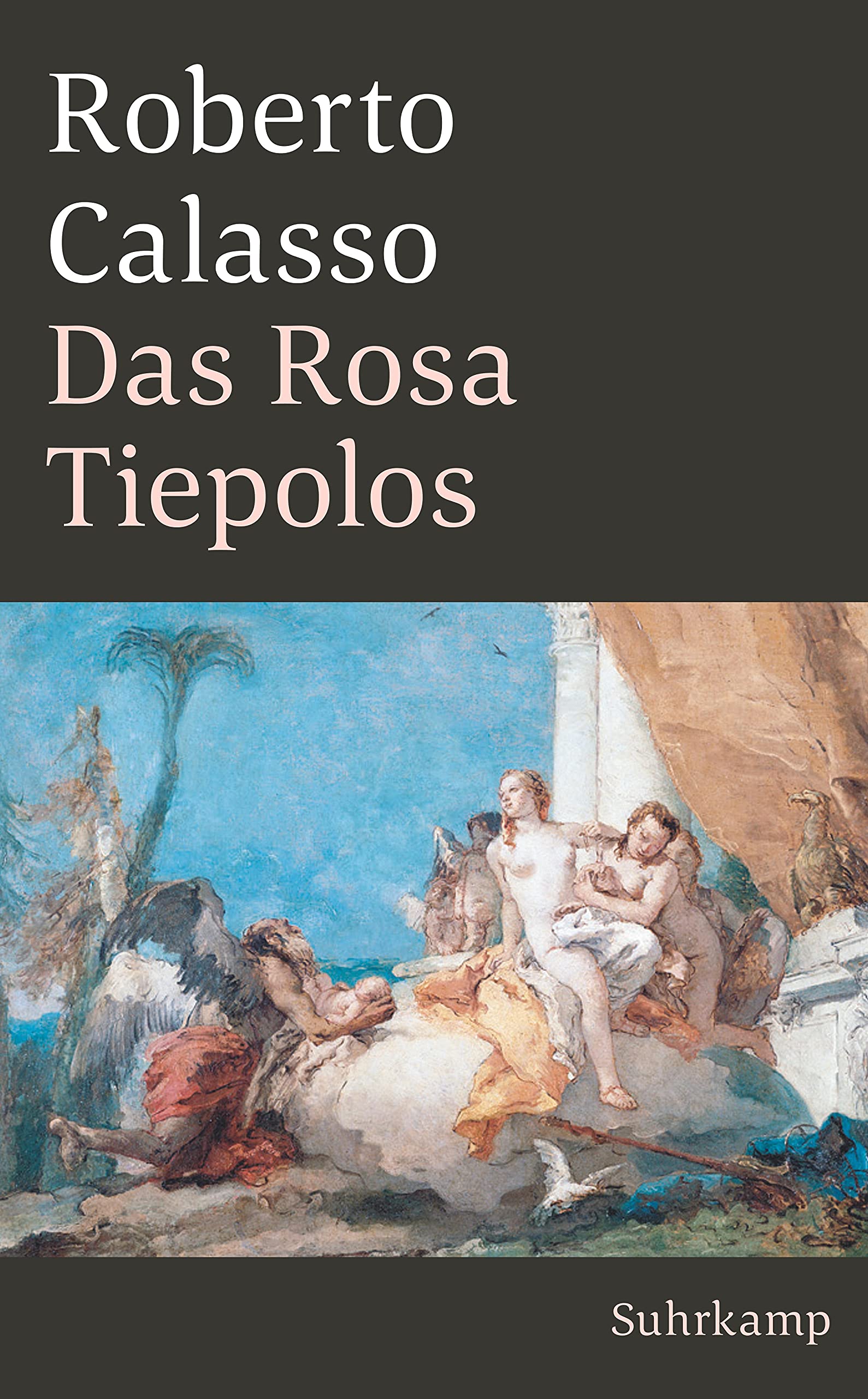 Das Rosa Tiepolos (suhrkamp taschenbuch) Film, Art & Culture