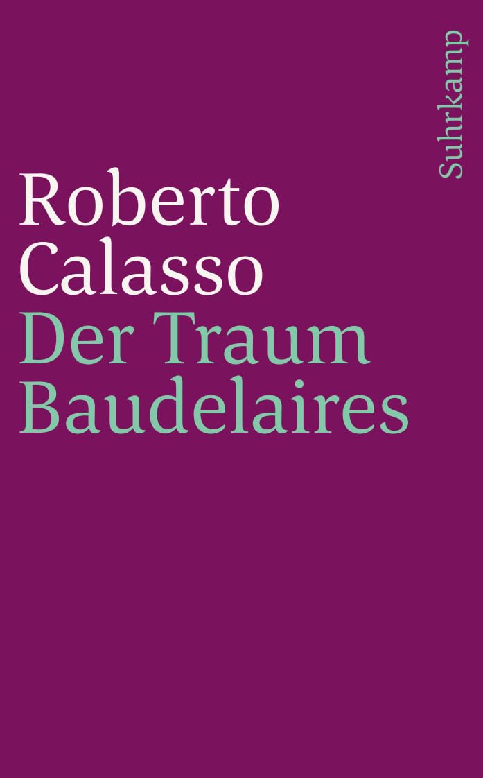 Der Traum Baudelaires (suhrkamp taschenbuch) Contemporary literature