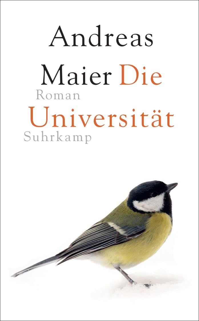 Product Image: Die Universität