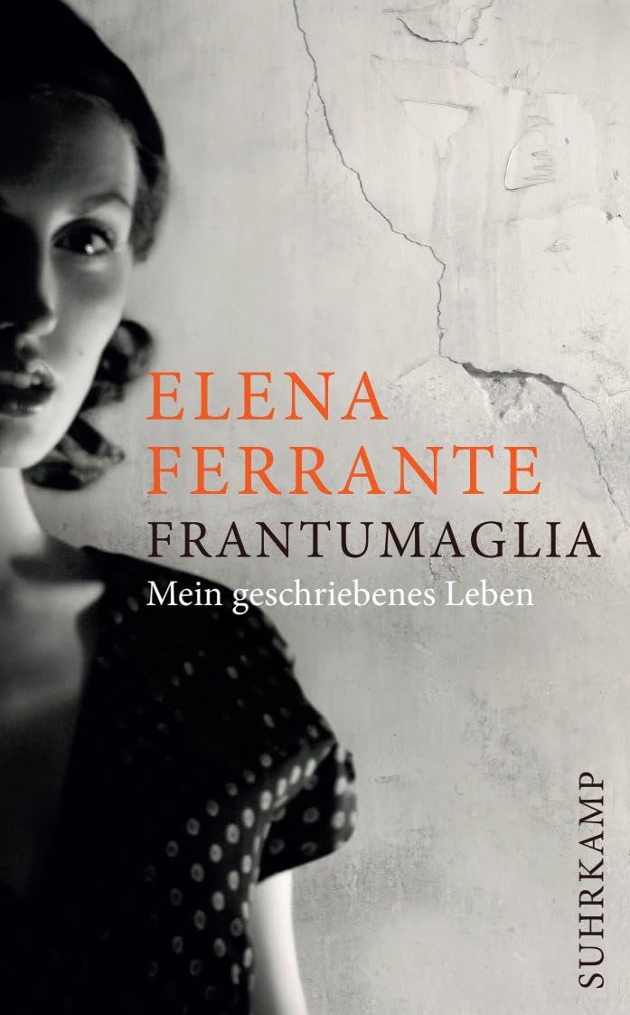 Frantumaglia Contemporary literature Books