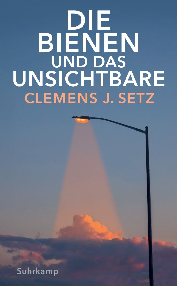 Die Bienen und das Unsichtbare Media & Communication