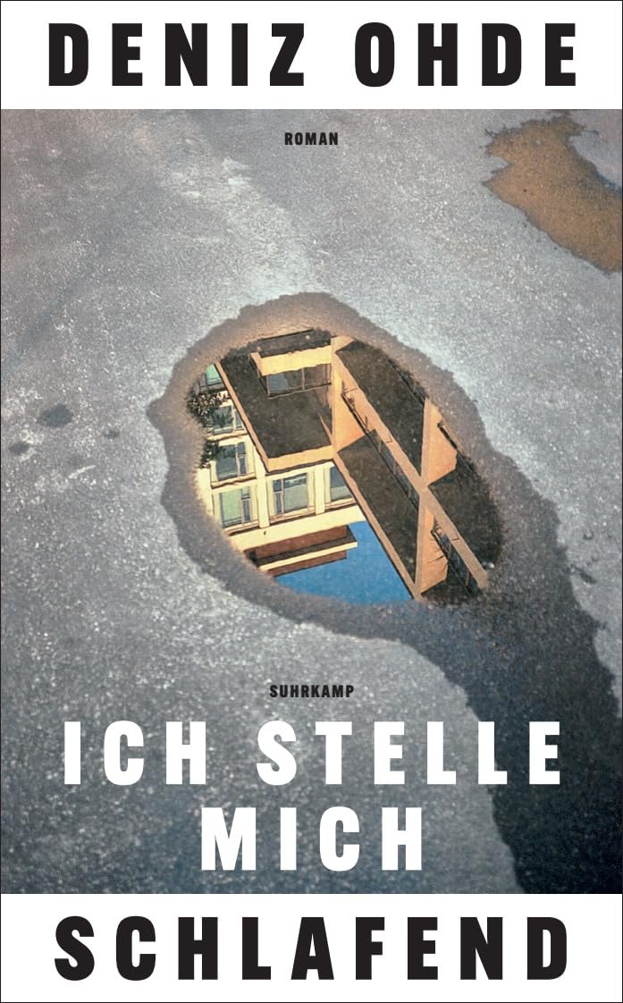 Ich stelle mich schlafend: Roman | Das neue Buch der preisgekrönten Bestsellerautorin von »Streulicht« Social Sciences