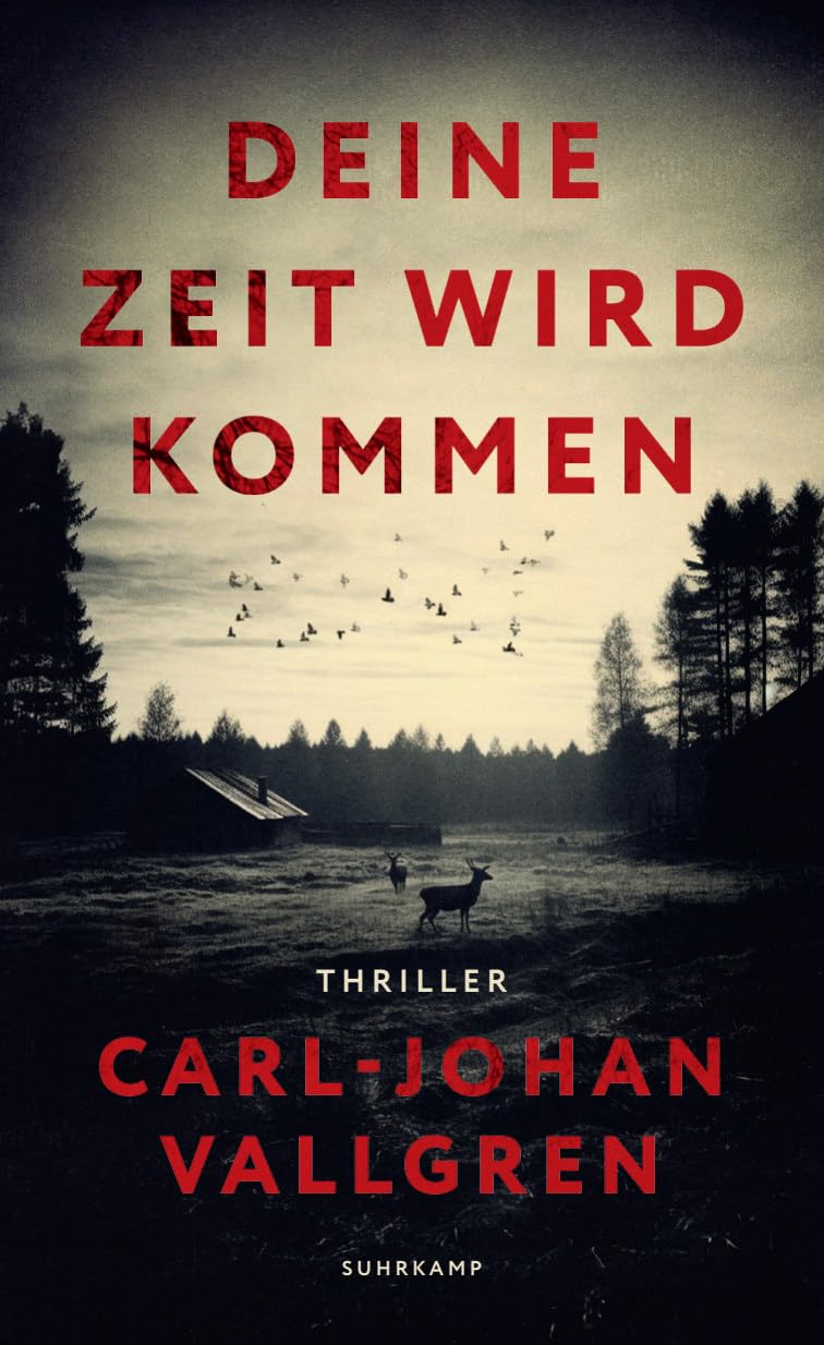 Deine Zeit wird kommen: Thriller | Eine Tote im Fluss. Eine verschwundene Tochter. Ein Vater am Abgrund | Schwedischer Krimipreis 2024 Contemporary literature