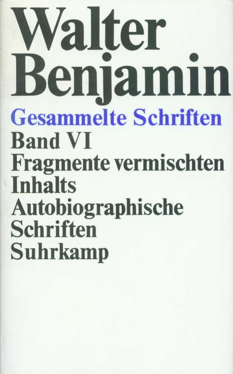 Gesammelte Schriften: VI: Fragmente vermischten Inhalts. Autobiographische Schriften Philosophy