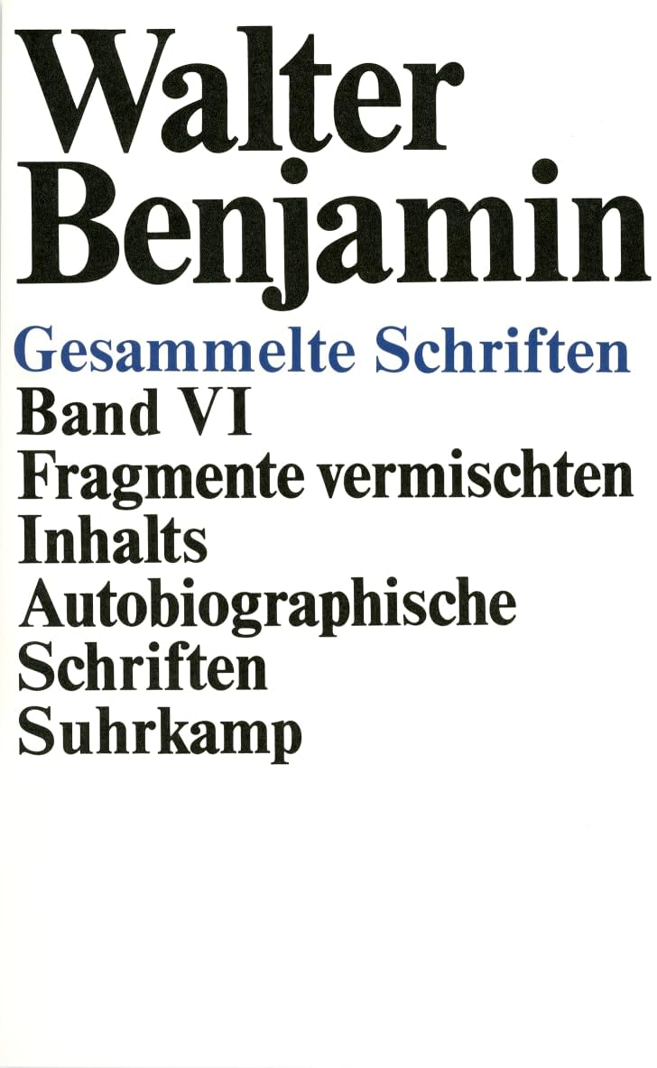 Gesammelte Schriften: VI: Fragmente vermischten Inhalts. Autobiographische Schriften Philosophy