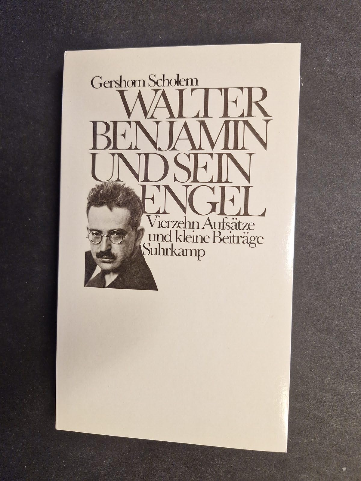 Walter Benjamin und sein Engel: Vierzehn Aufsätze und kleine Beiträge Science