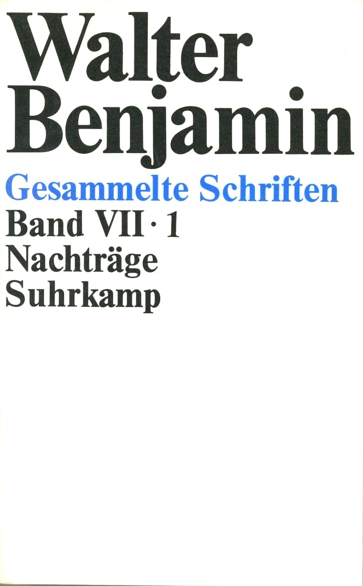 Gesammelte Schriften: VII: Nachträge. 2 Teilbände Essays & Short Stories