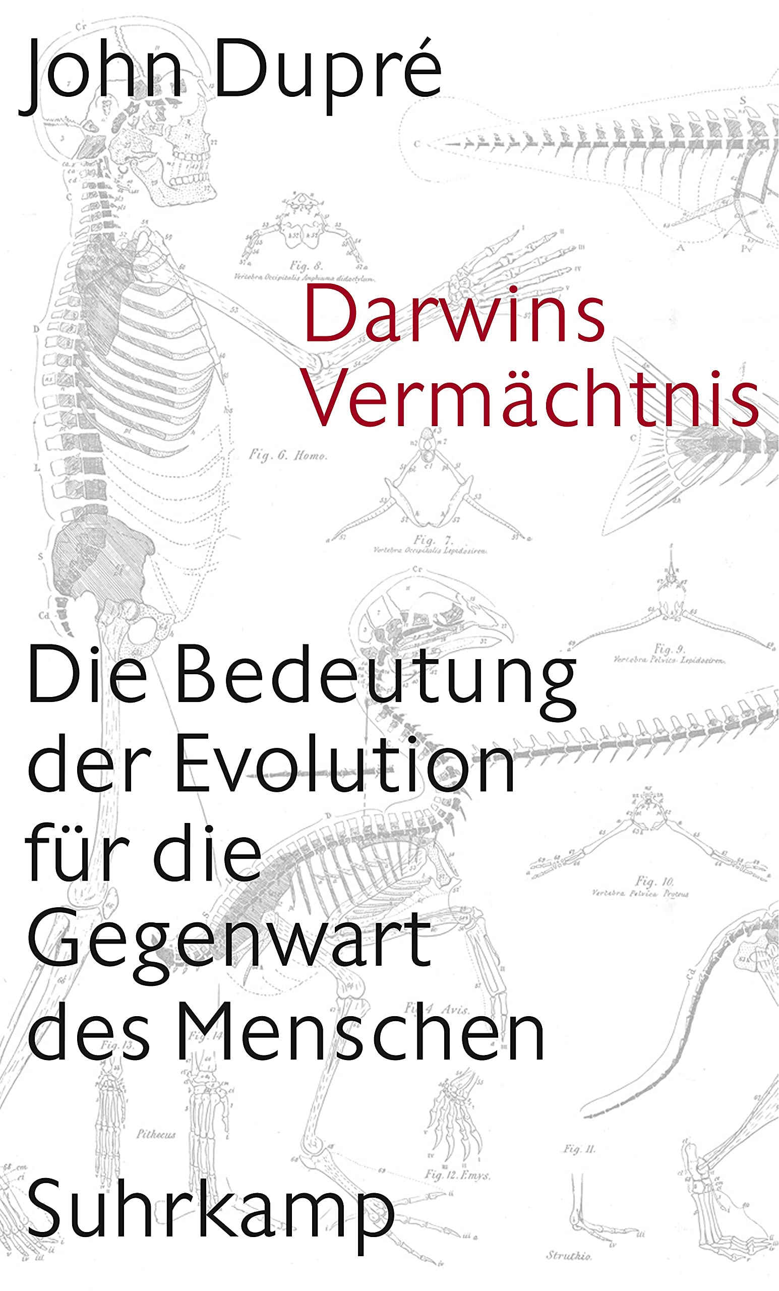 Darwins Vermächtnis Philosophy Books