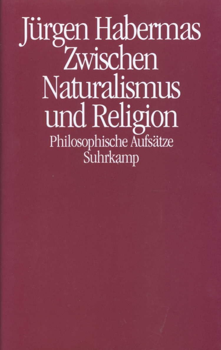 Zwischen Naturalismus und Religion: Philosophische Aufsätze Philosophy