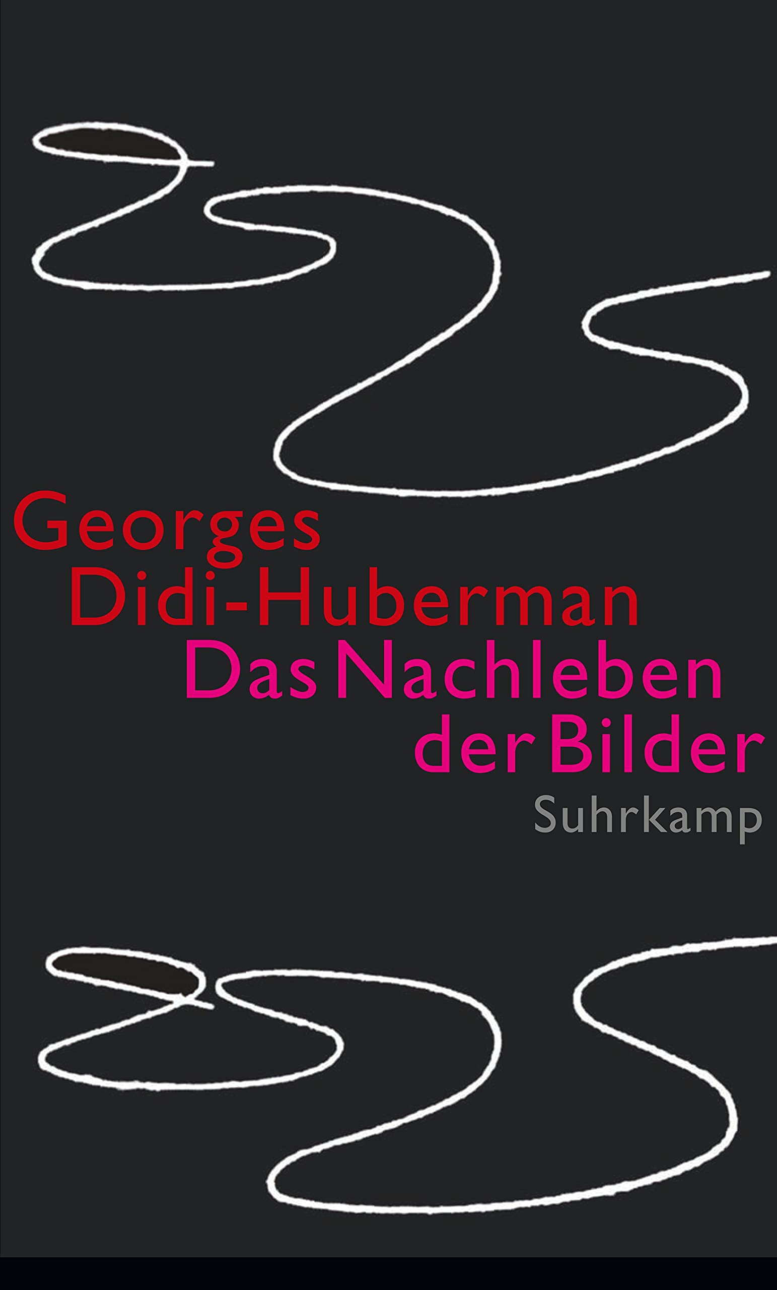Product Image: Das Nachleben der Bilder