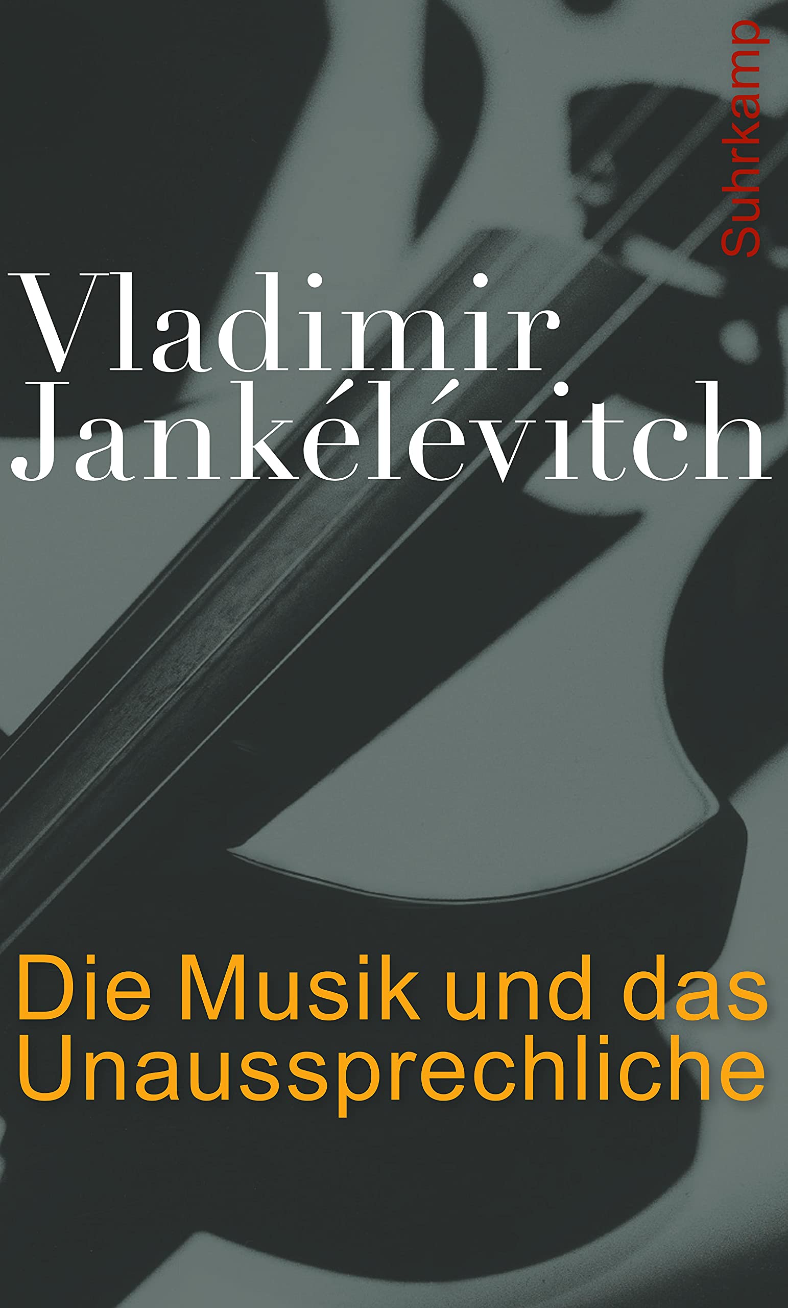 Die Musik und das Unaussprechliche: Nachwort vo Andreas Vejvar Philosophy