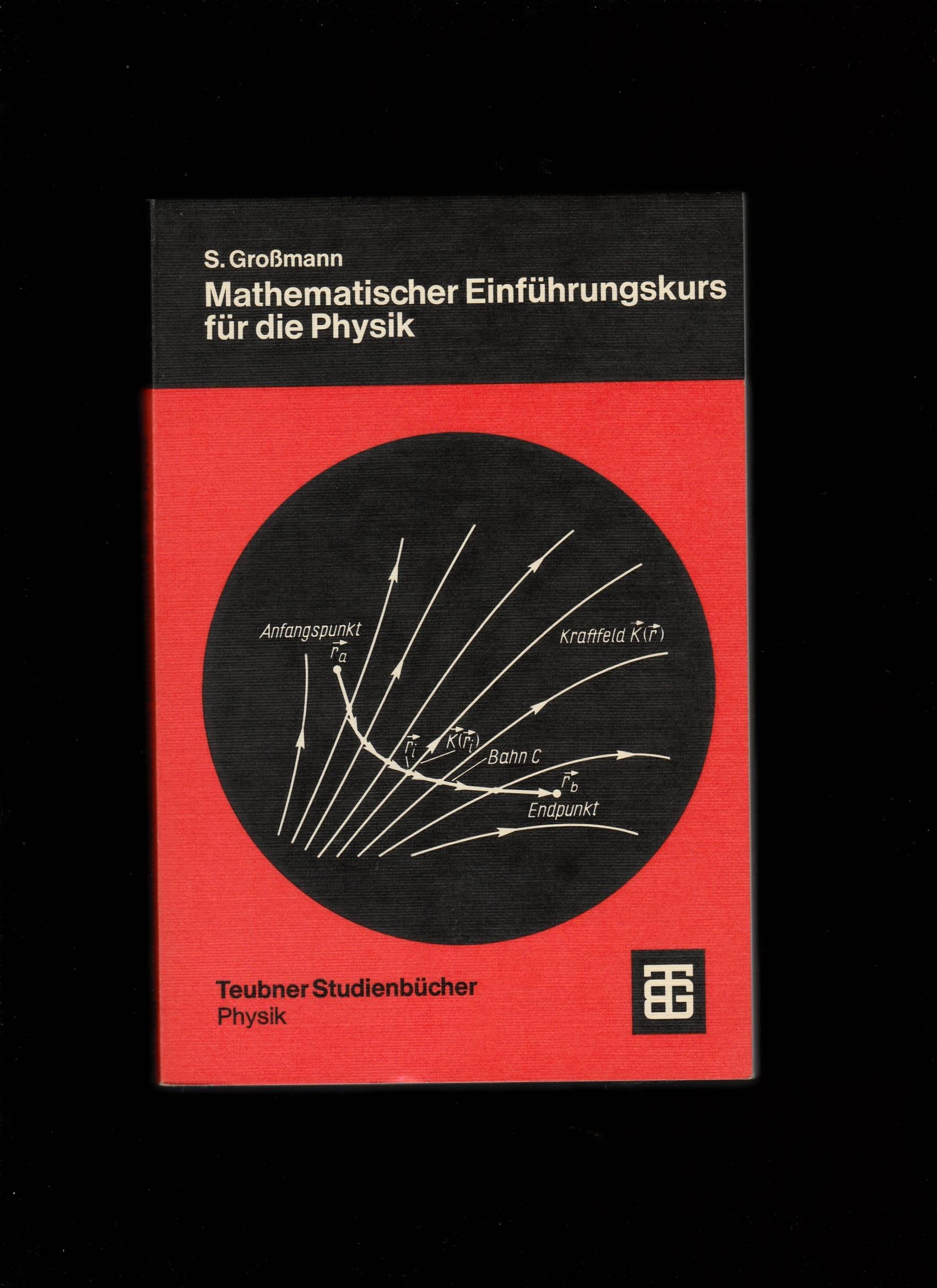 Mathematischer Einführungskurs für die Physik Books