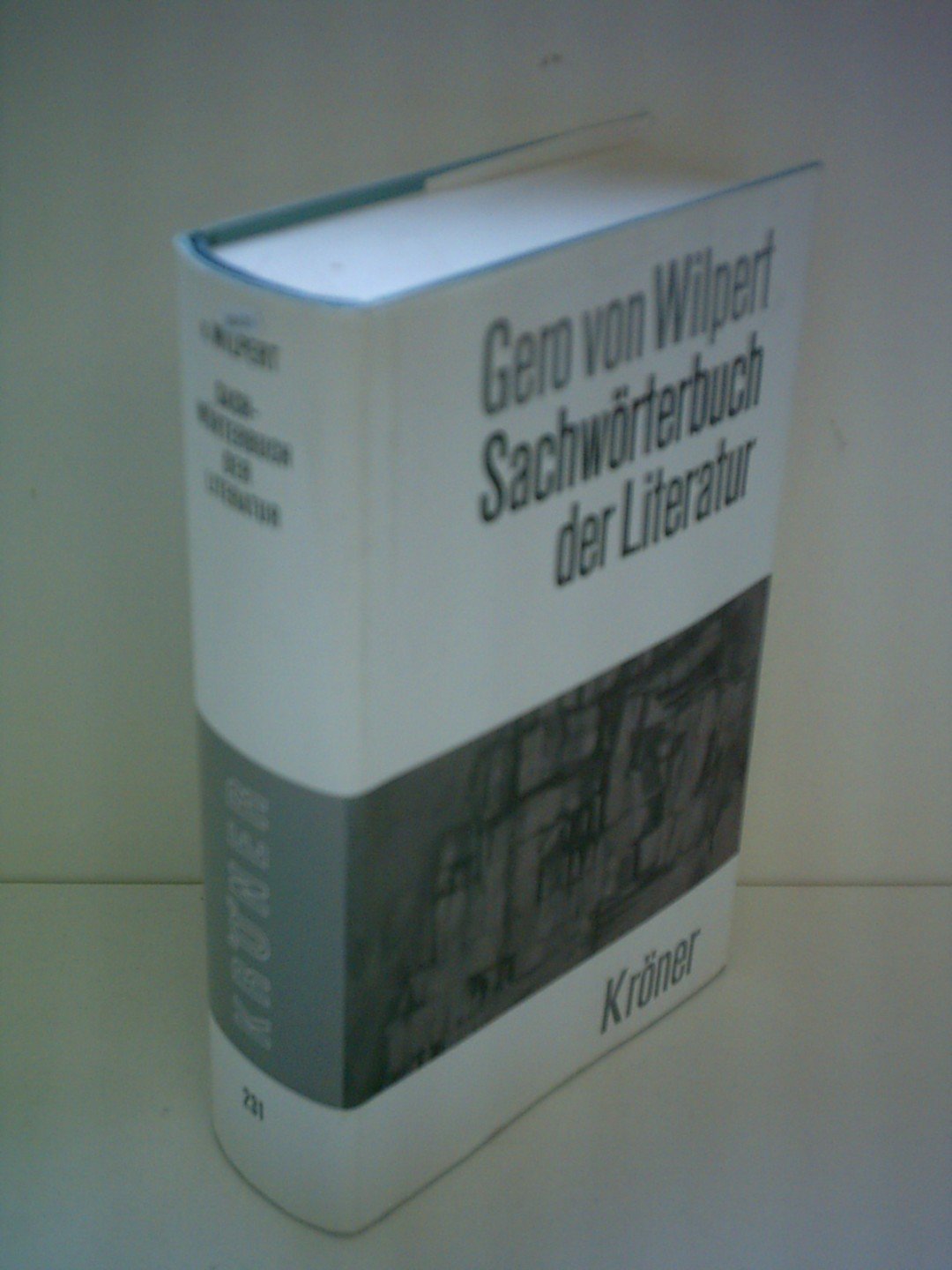 Sachwörterbuch der Literatur (Kröners Taschenausgaben (KTA)) General education