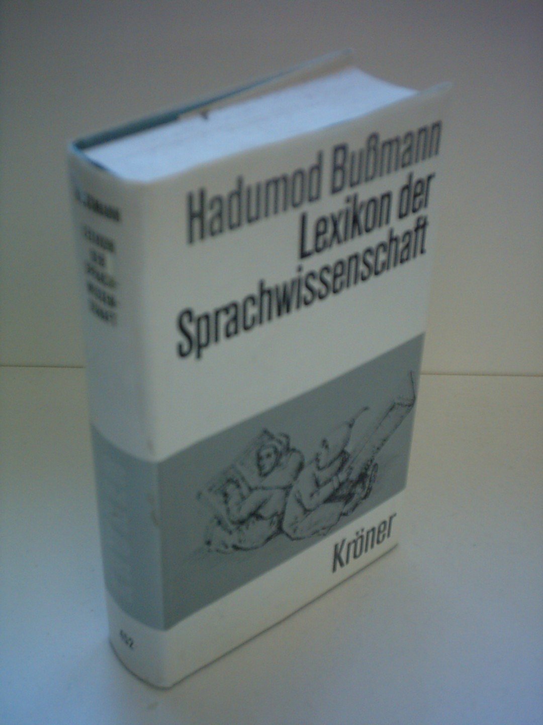 Lexikon der Sprachwissenschaft (Kröners Taschenausgaben (KTA)) Learning & Reference