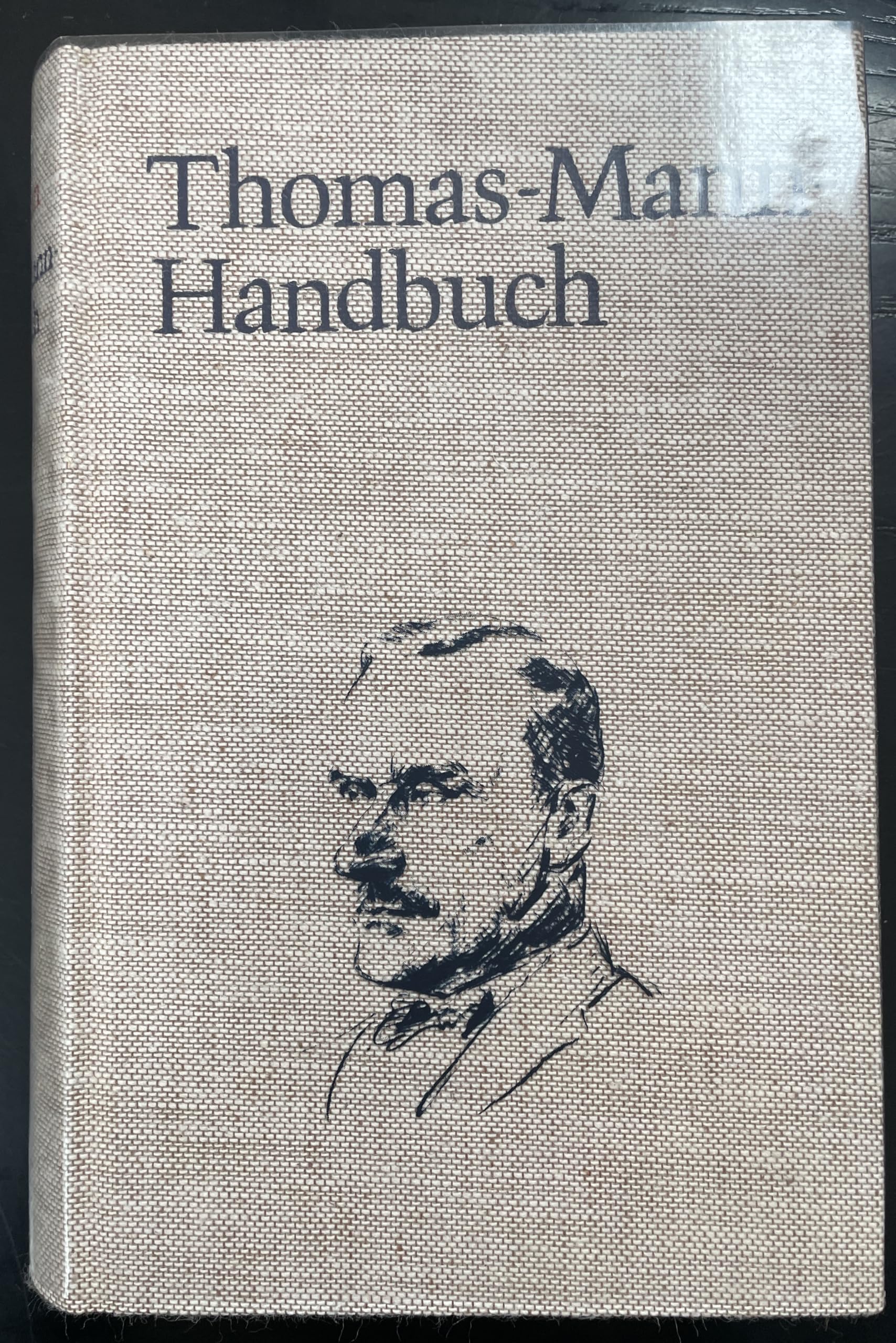 Thomas Mann-Handbuch (Kröners Taschenausgaben (KTA)) Art & Literature