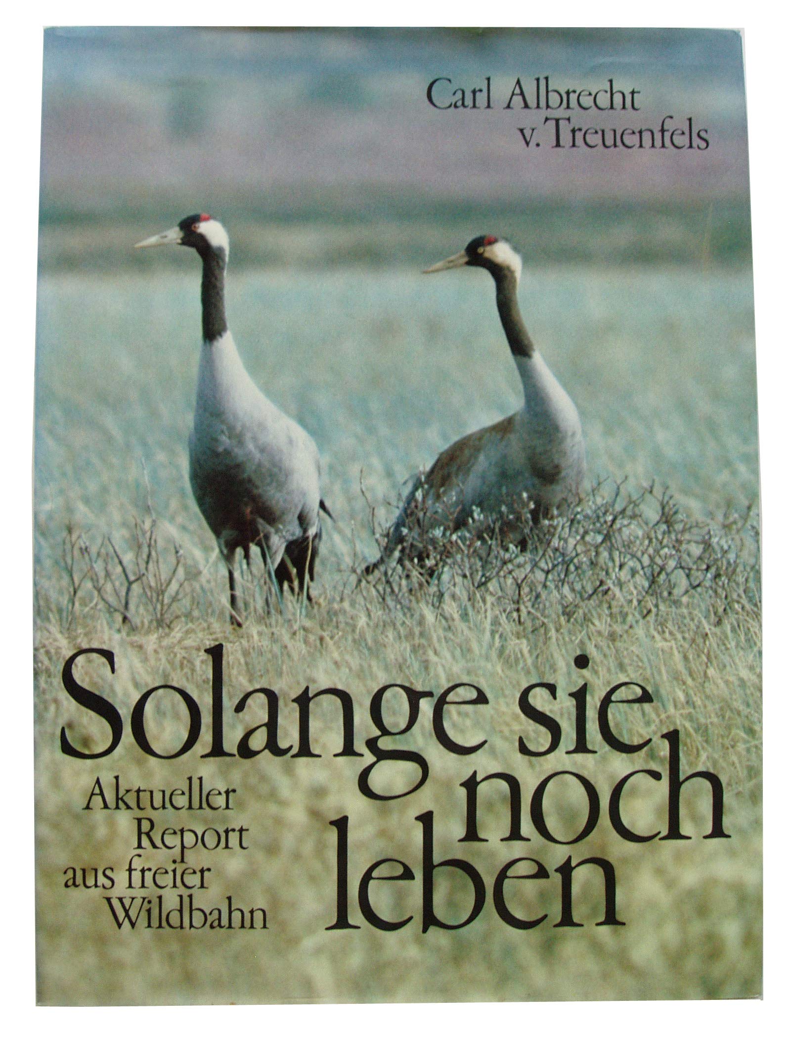 Solange sie noch leben. Aktueller Report aus freier Wildbahn Books