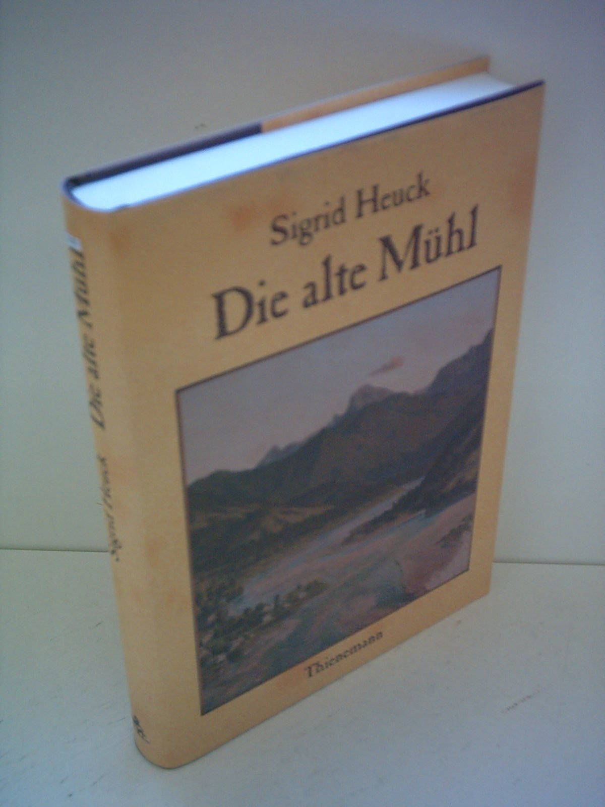 Die alte Mühl Politics & History books