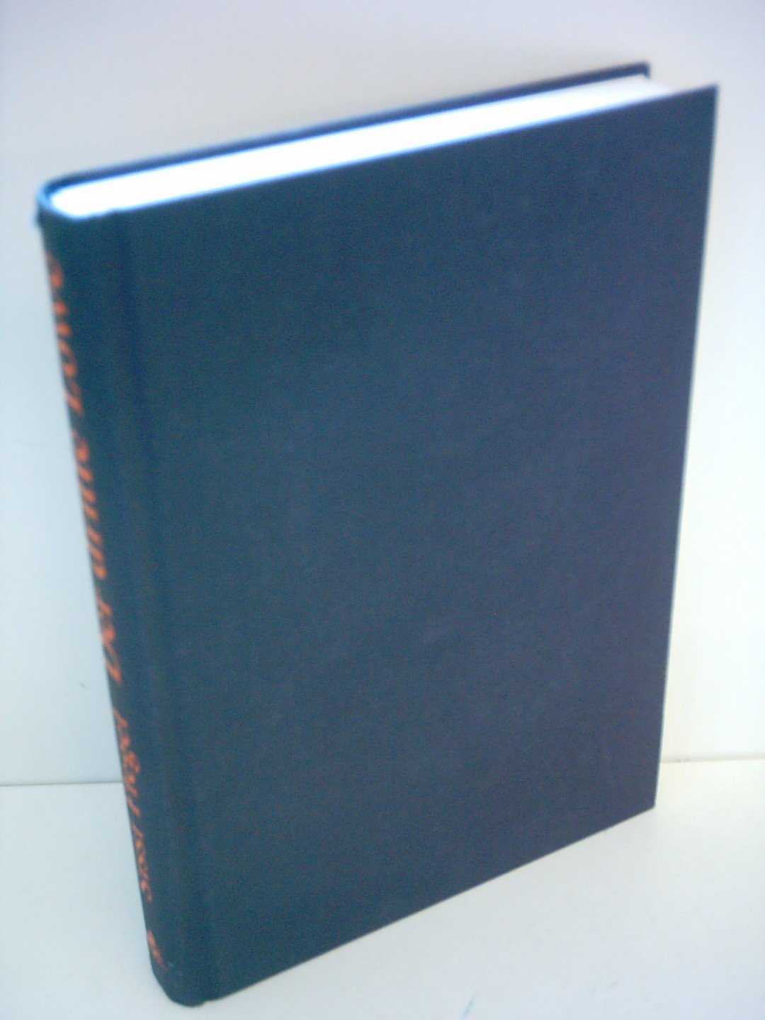 Der dritte Löwe Fiction books for children
