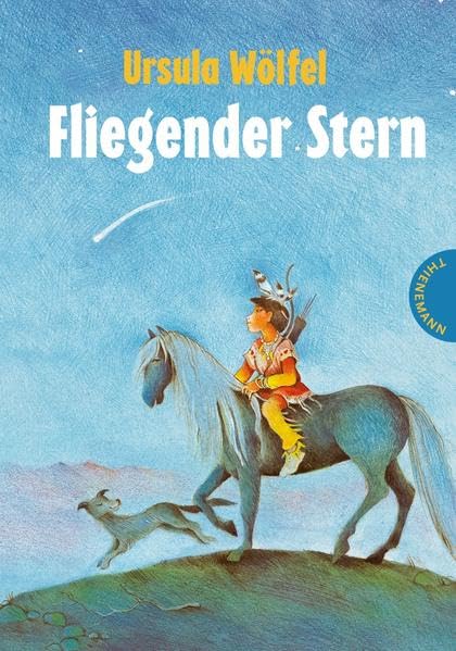 Fliegender Stern Novels & Short Stories for children