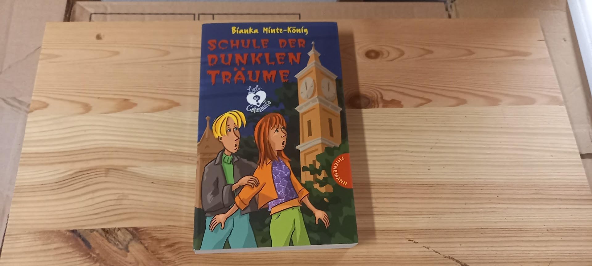 Schule der dunklen Träume (Liebe & Geheimnis) Contemporary literature