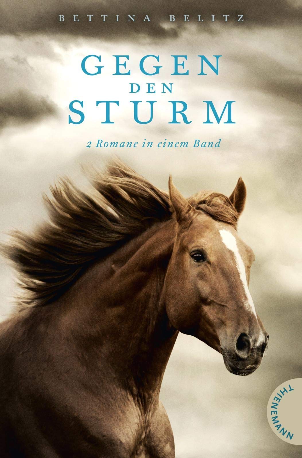Gegen den Sturm Fantasy & Sci-Fi for children