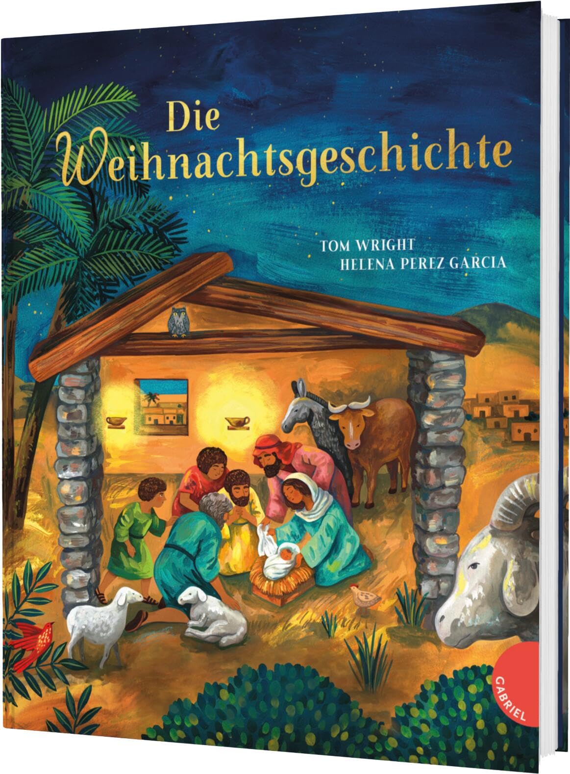 Die Weihnachtsgeschichte Non-fiction books for kids