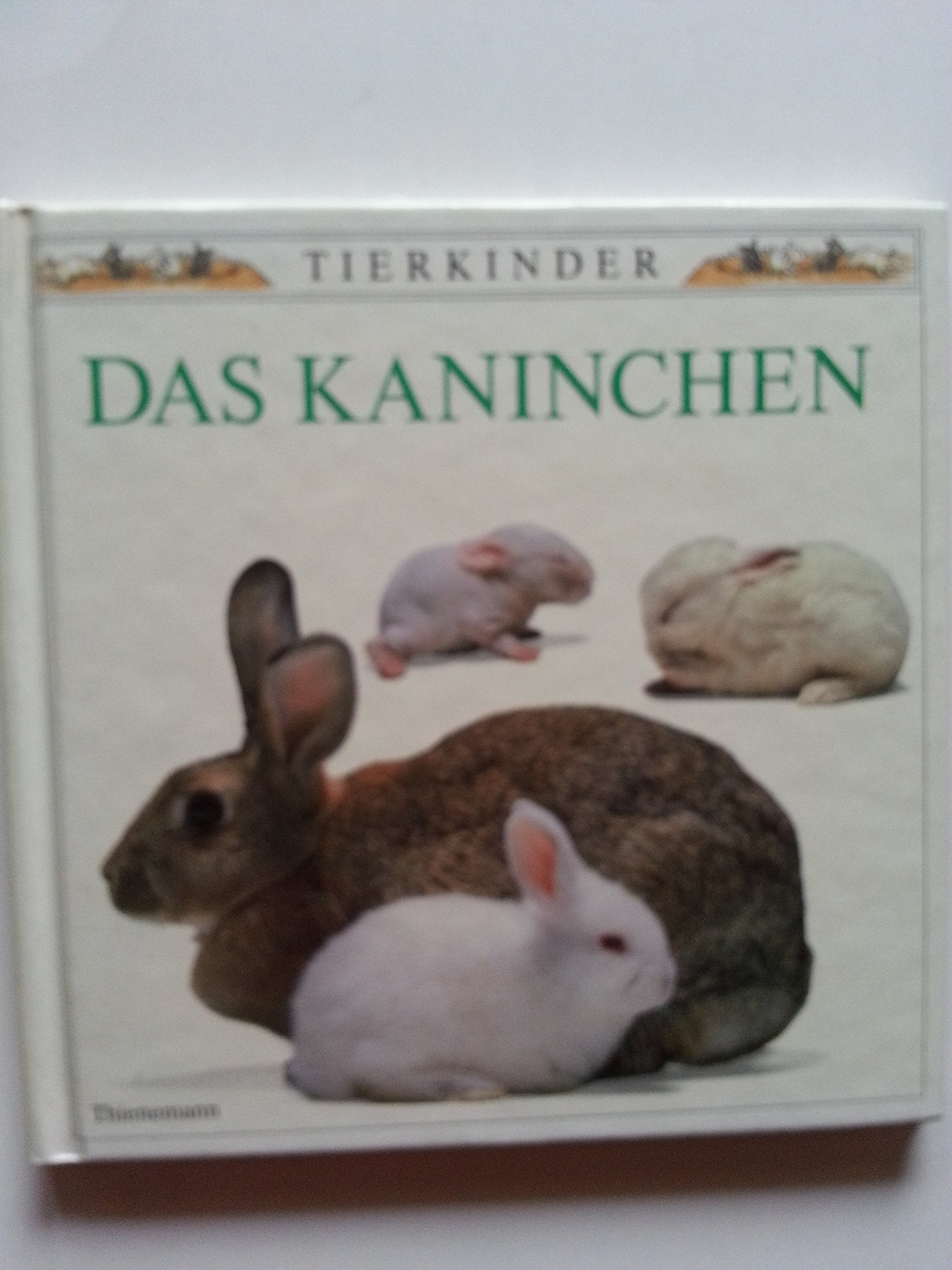 Das Kaninchen Books