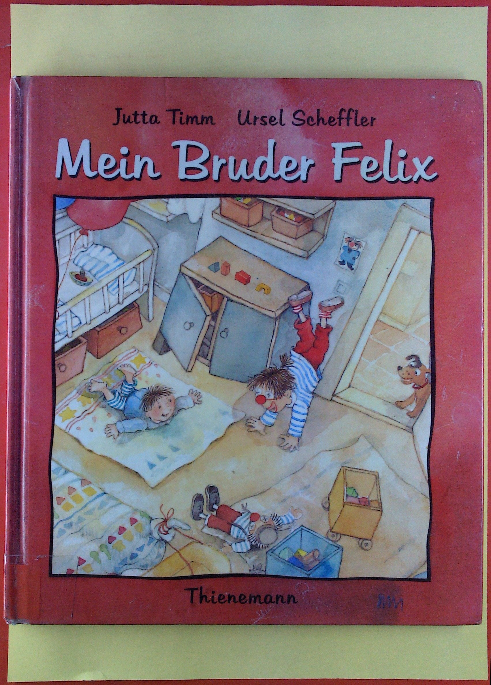 Mein Broder Felix Novels & Short Stories for children