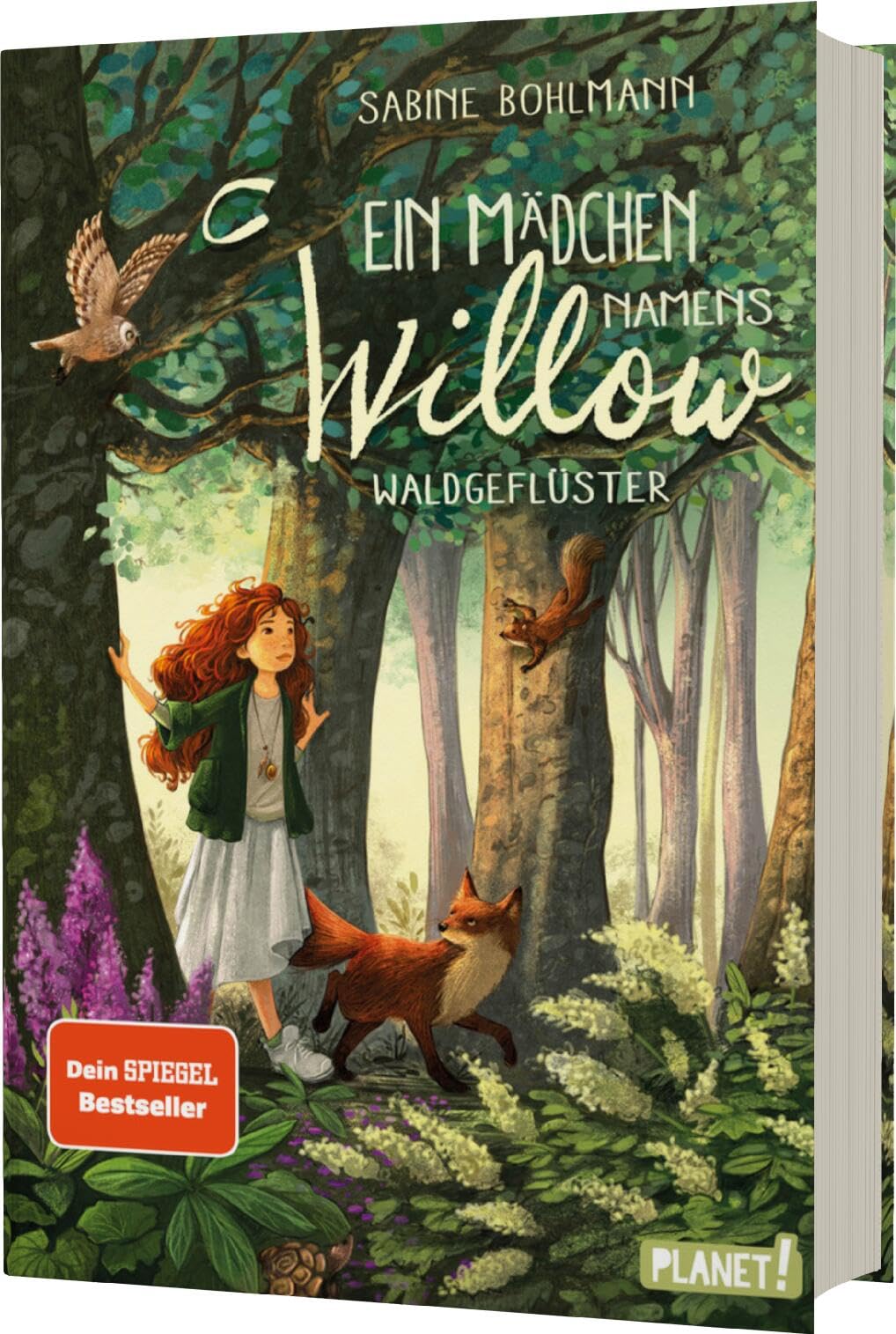 Product Image: Ein Mädchen namens Willow 2: Waldgeflüster