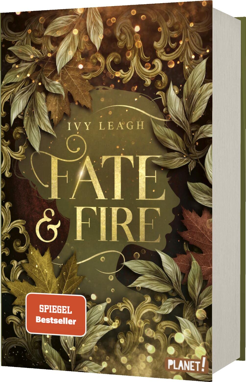Die Nordlicht-Saga 1: Fate and Fire Contemporary literature
