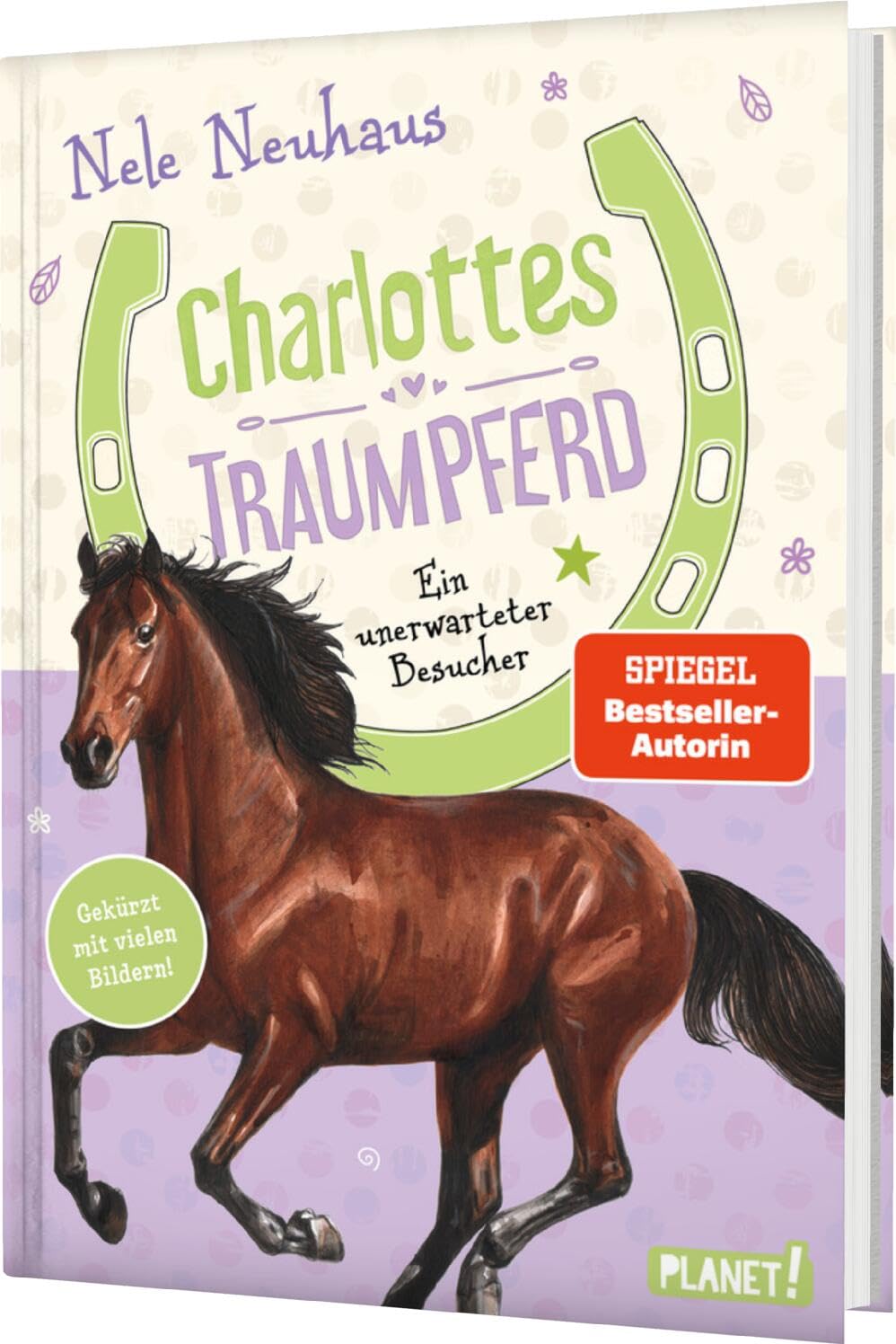 Charlottes Traumpferd 3: Ein unerwarteter Besucher Non-fiction