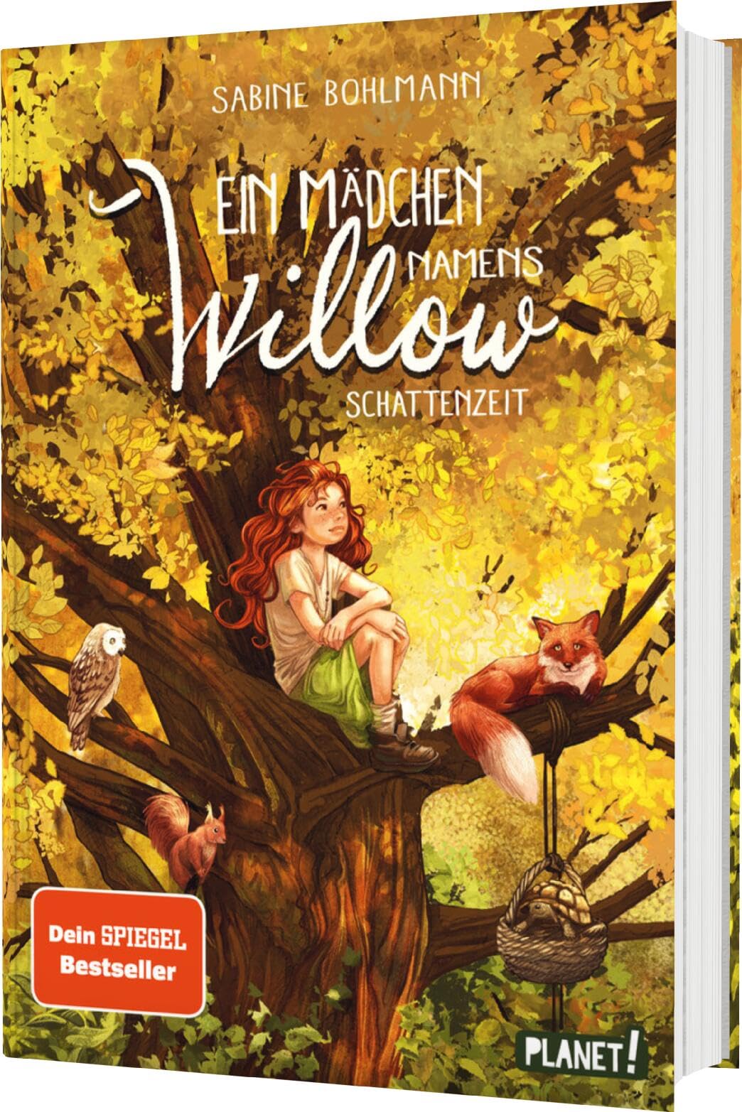 Ein Mädchen namens Willow 5: Schattenzeit Non-fiction books for kids