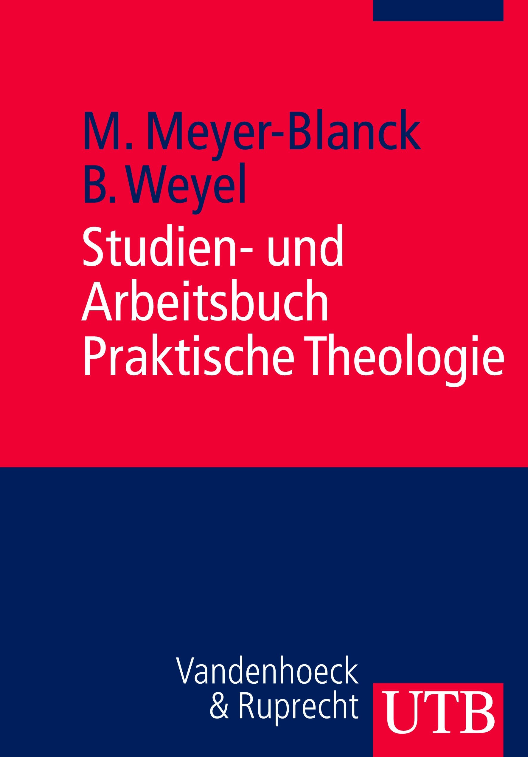 Studien- und Arbeitsbuch Praktische Theologie Politics & History