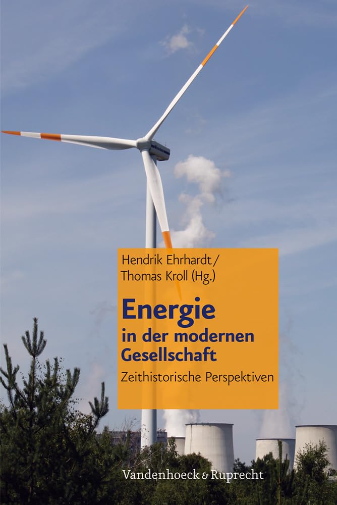 Energie in der modernen Gesellschaft: Zeithistorische Perspektiven Business, Finance & Career