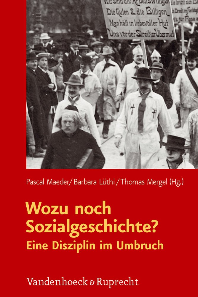 Wozu noch Sozialgeschichte?: Eine Disziplin im Umbruch Business & Technology
