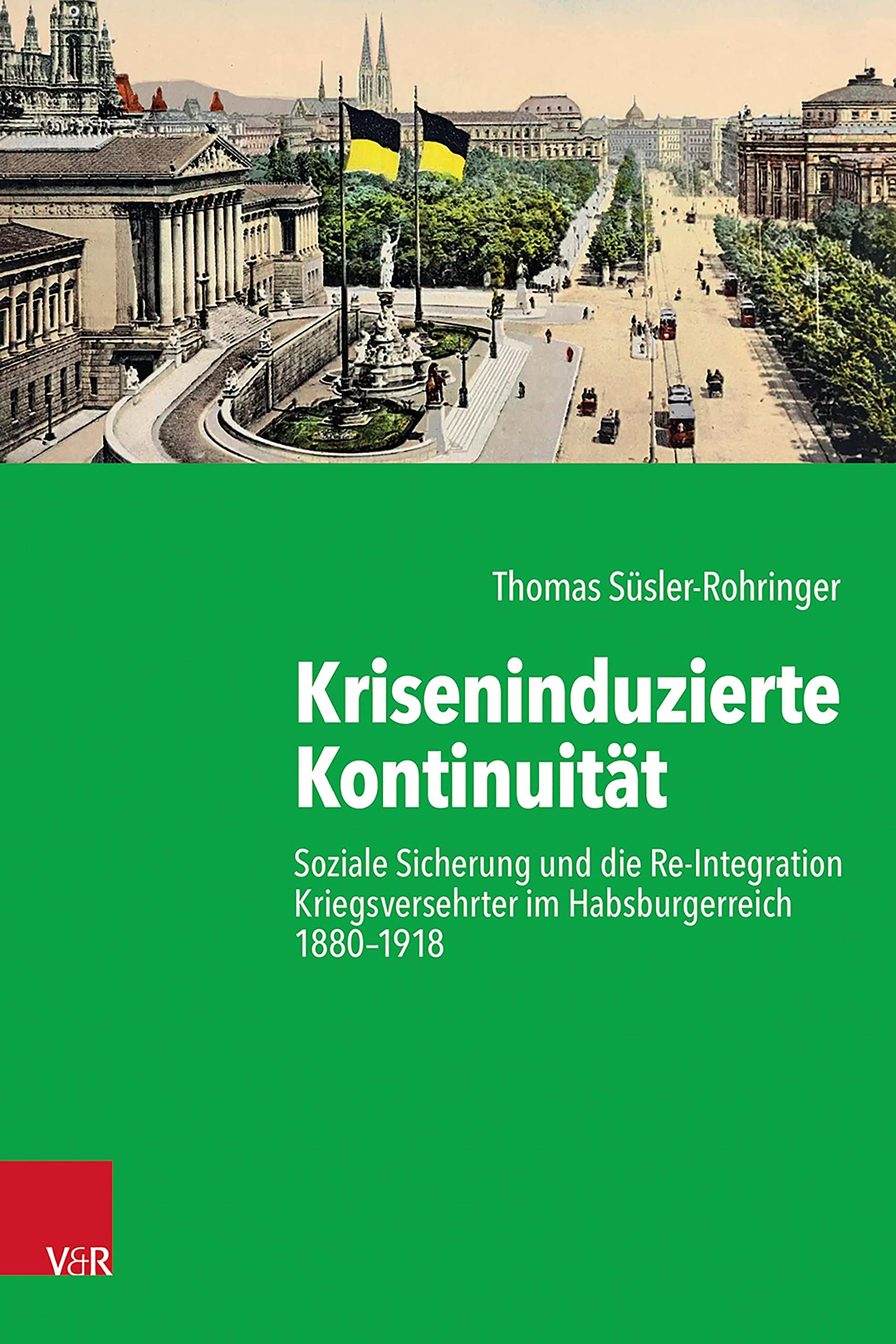 Kriseninduzierte Kontinuität book