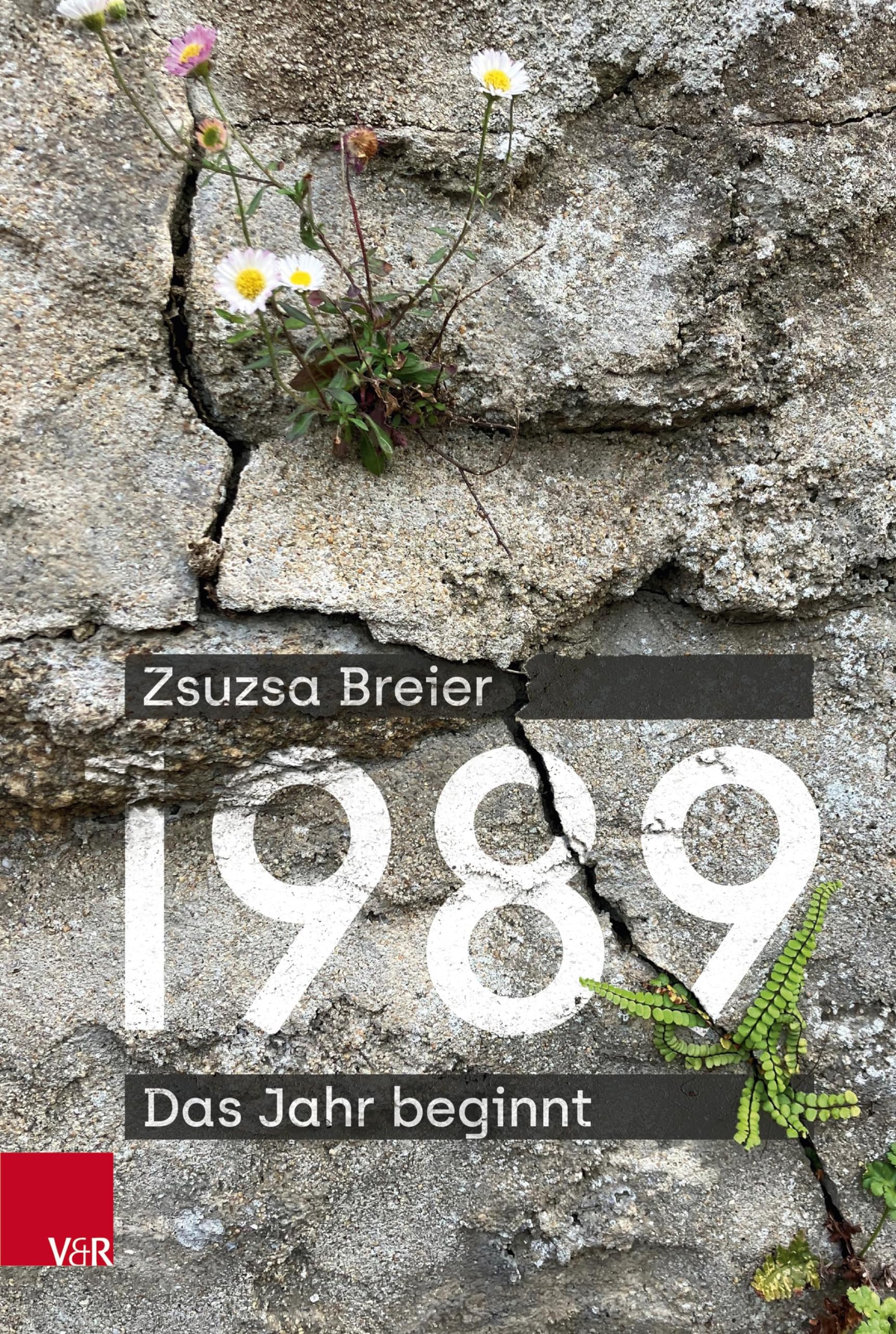 Product Image: 1989