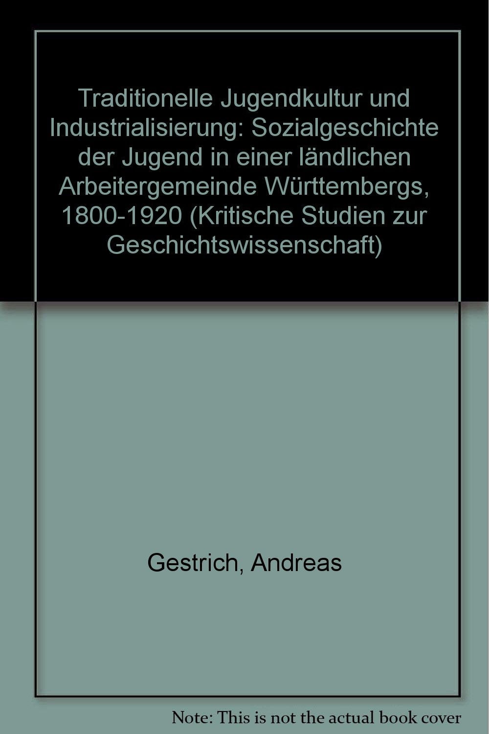 Traditionelle Jugendkultur und Industrialisierung: Sozialgeschichte der Jugend in einer ländlichen Arbeitergemeinde Württembergs, 1800-1920 (Kritische Studien zur Geschichtswissenschaft) book