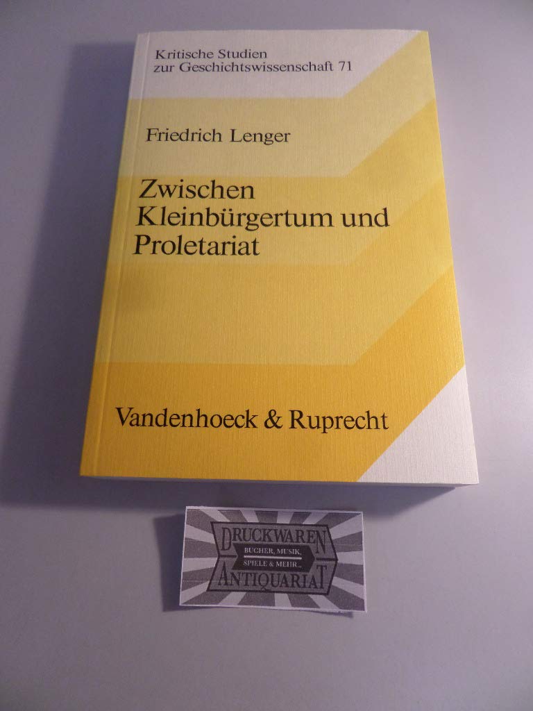 Zwischen Kleinbürgertum und Proletariat: Studien zur Sozialgeschichte der Düsseldorfer Handwerker 1816-1878 (Kritische Studien zur Geschichtswissenschaft) Social Sciences