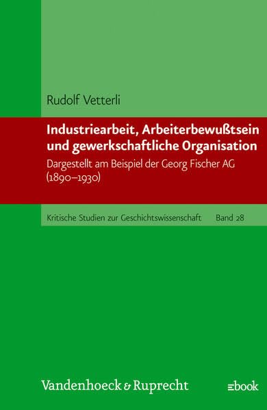 Industriearbeit, Arbeiterbewußtsein und gewerkschaftliche Organisation. Dargestellt am Beispiel der Georg Fischer AG (1890-1930) (Kritische Studien zur Geschichtswissenschaft) Politics & History