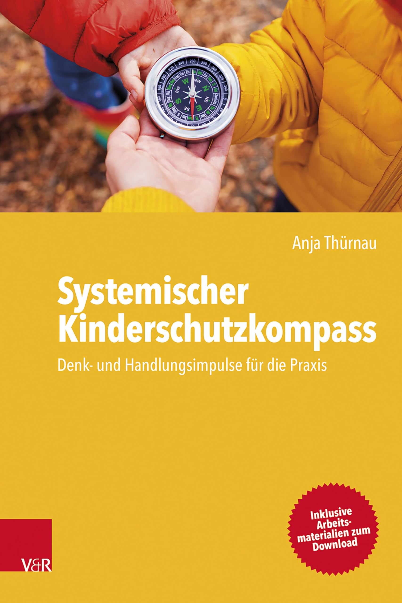 Systemischer Kinderschutzkompass Social Sciences Books