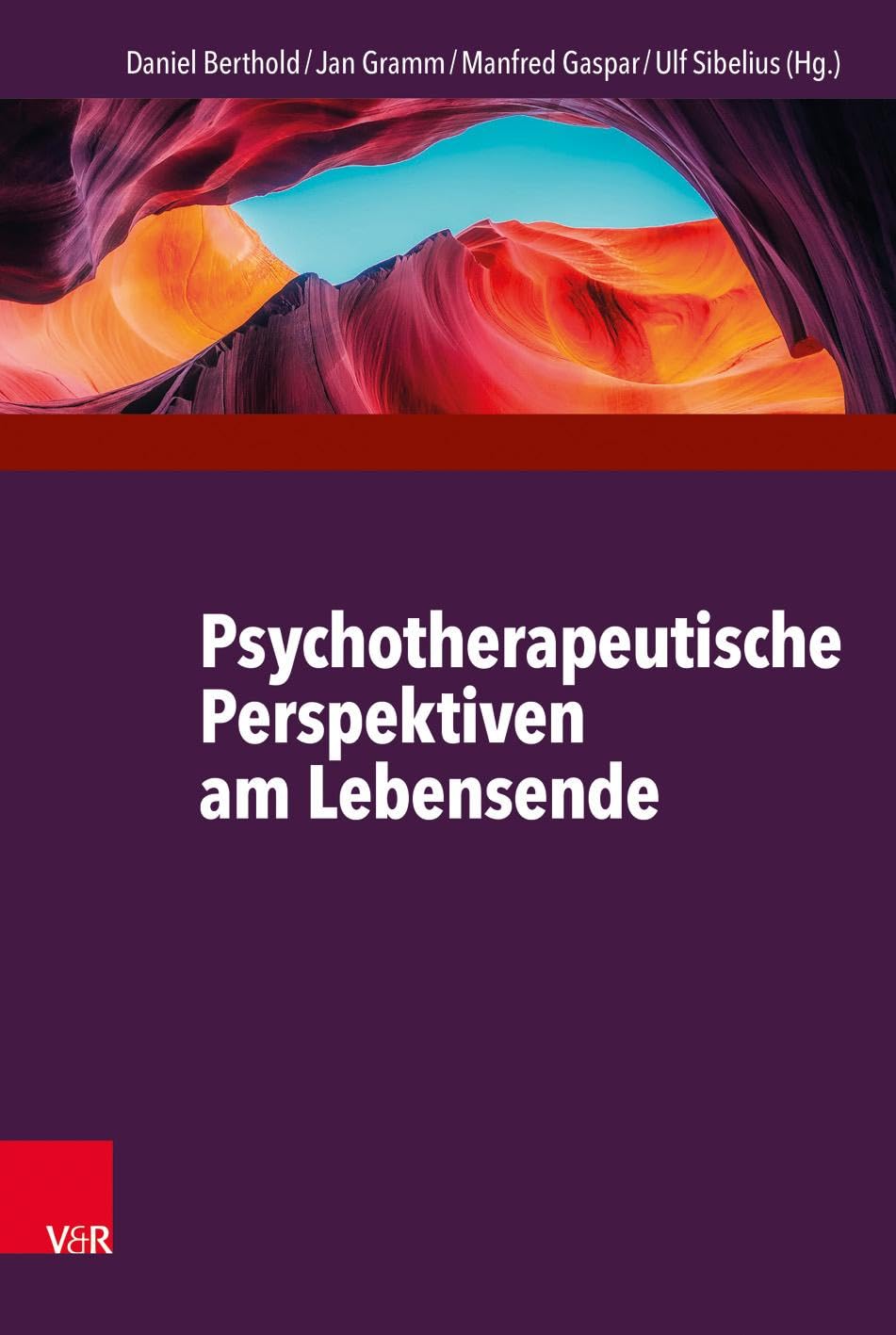 Psychotherapeutische Perspektiven am Lebensende Medicine
