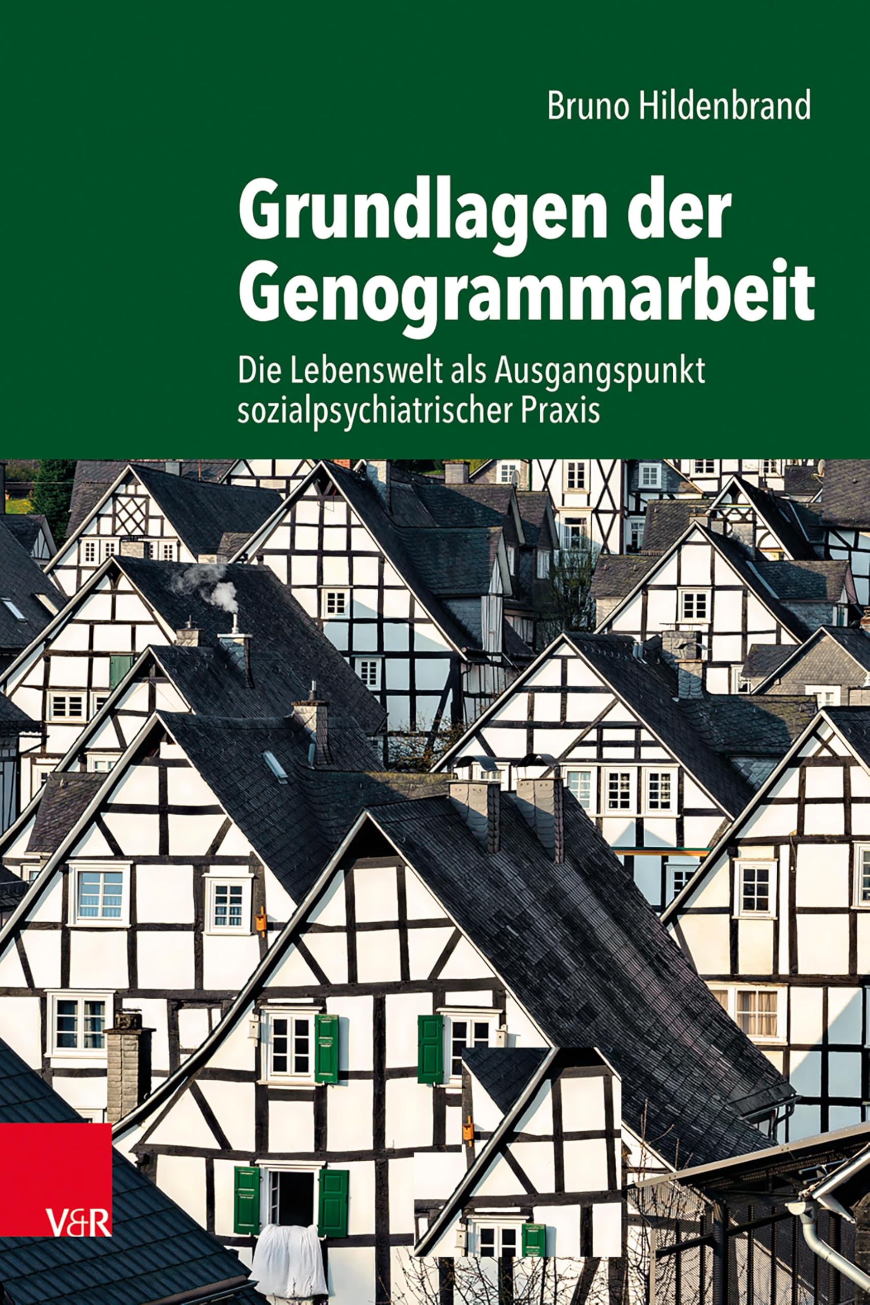 Grundlagen der Genogrammarbeit: Die Lebenswelt als Ausgangspunkt sozialpsychiatrischer Praxis Medicine