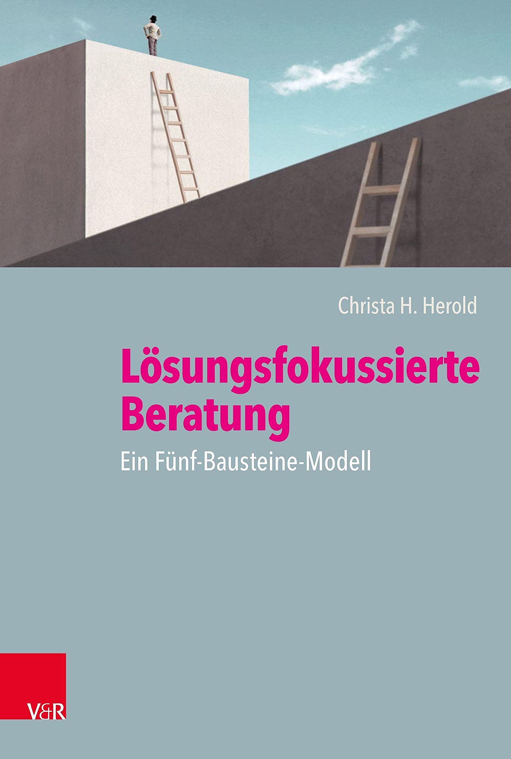 Lösungsfokussierte Beratung: Ein Fünf-Bausteine-Modell Medicine