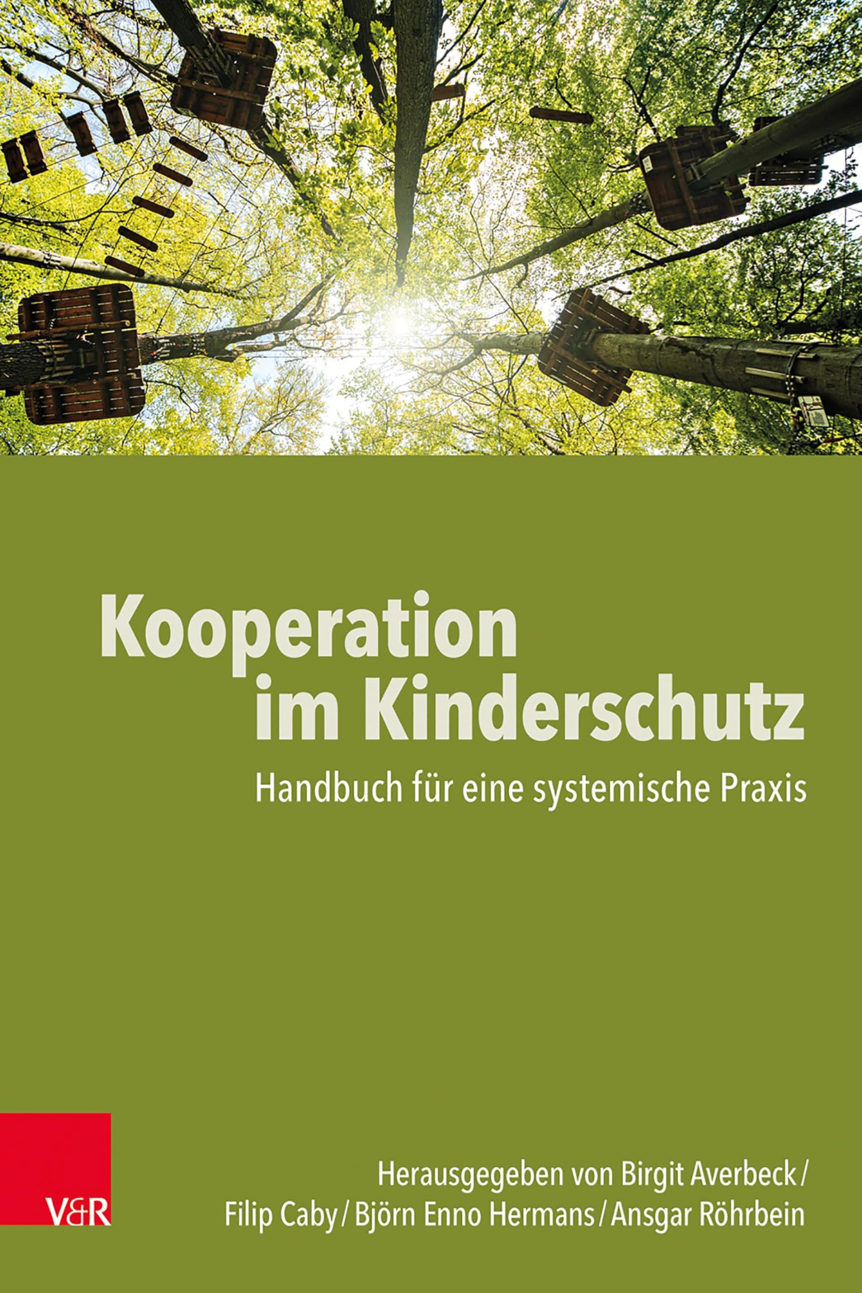 Kooperation im Kinderschutz Social Sciences